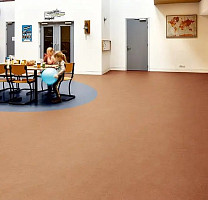 Forbo Eternal Original 68752 cornflower фото 2 | FLOORDEALER